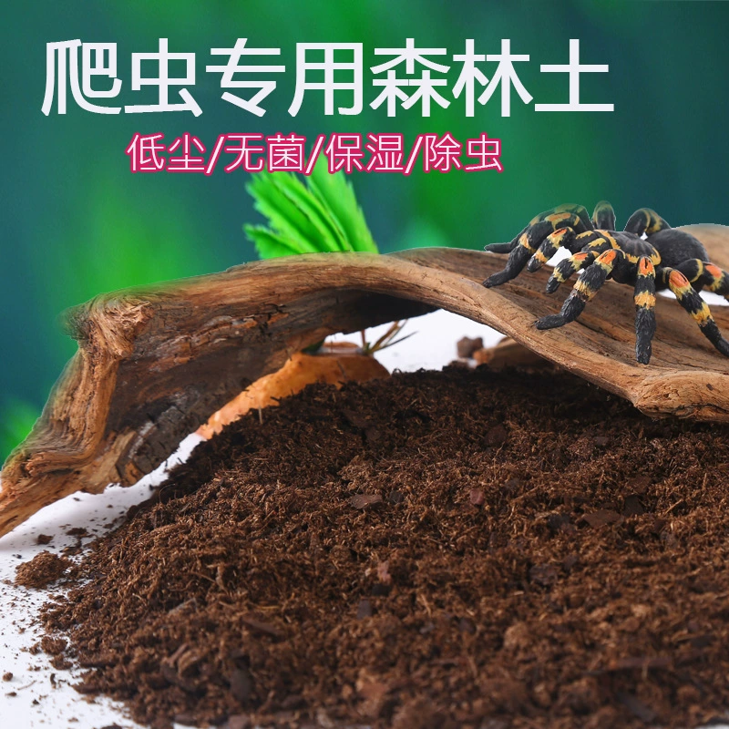 CM альпинистское домашнее животное лесной коврик тропический лес рептилия Ящерица Черепаха коробка ландшафтный дизайн Увлажняющий дезодорирующий деградация поверхности фекалии