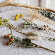 ��Ȼ�L��ֲ�ﻨ��ɢ�bDIY�ֹ����ϻ��h�YƷ���b�ɻ�С����ɭϵ�L