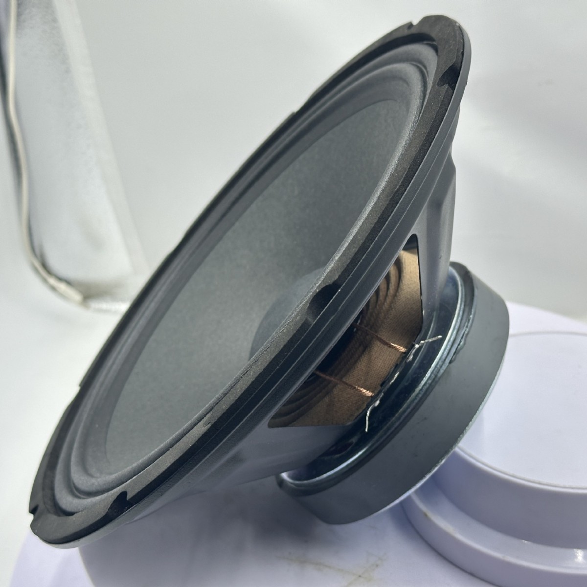 Excludizado transfronterizo para altavoz de rango medio de frecuencia completa de 120 magnéticos de 35 núcleos con borde de doble anillo de 10 pulgadas