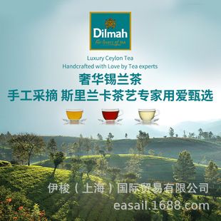Dilmah�Ϡ��� �M��˹���m�� �����t�裨�{ζ�裩20��*2g
