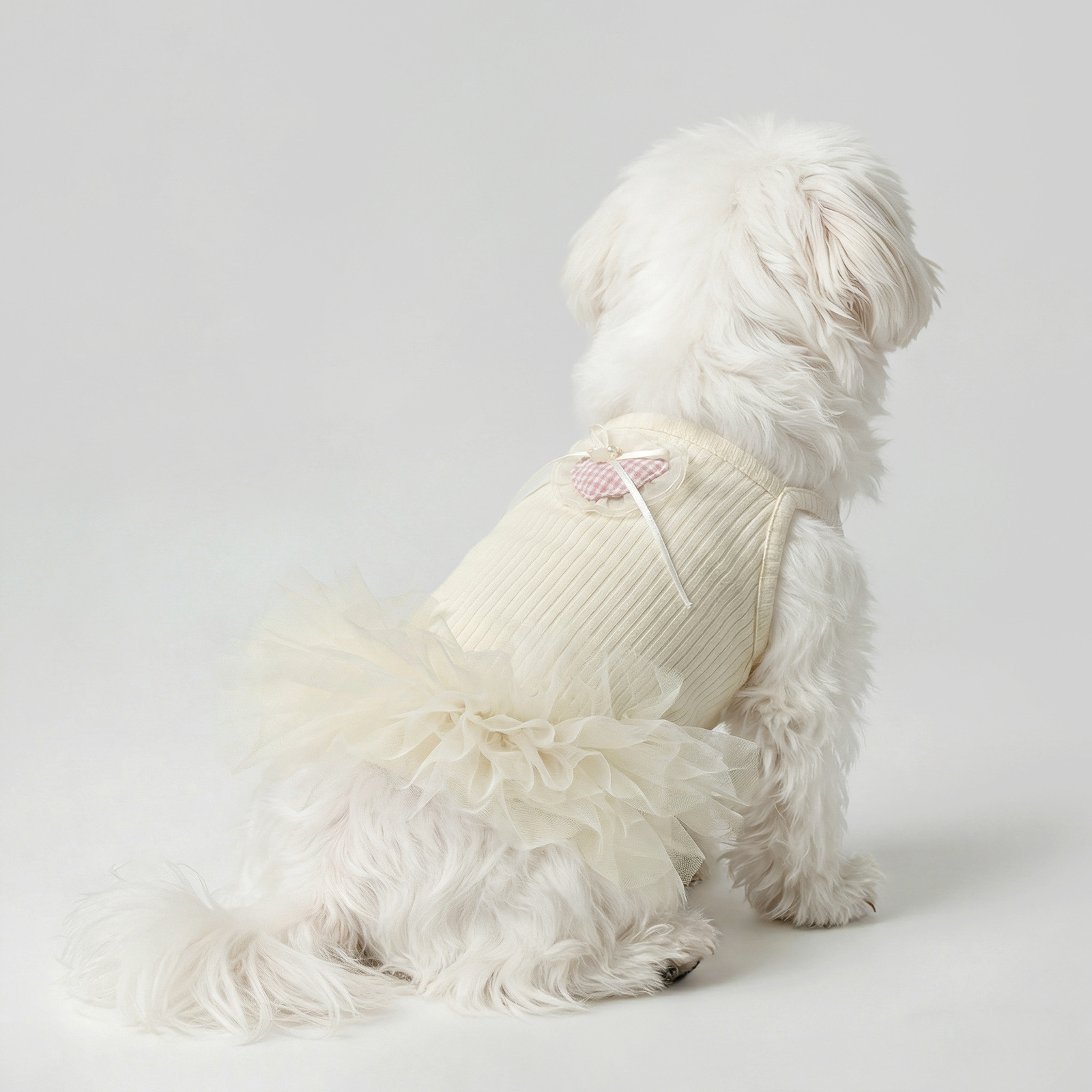 Vêtements d'été pour chiens, robe gilet fine en dentelle anti-mue pour chats, petits chiens à dégradé doré, Teddy, Bichon_voghion.com