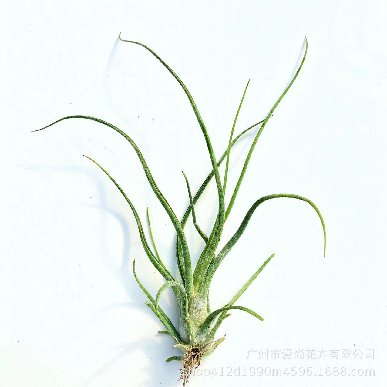 微信图片_20221106134242