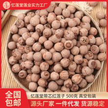 ϼtɏ500ˎоհbtɏҜraƷ̶ɏӸ؛l