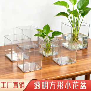 �~�X��ˮ�໨�脓��ֲ�����ԾG�}ˮ�B����ˮ��Gֲ����ˮ������