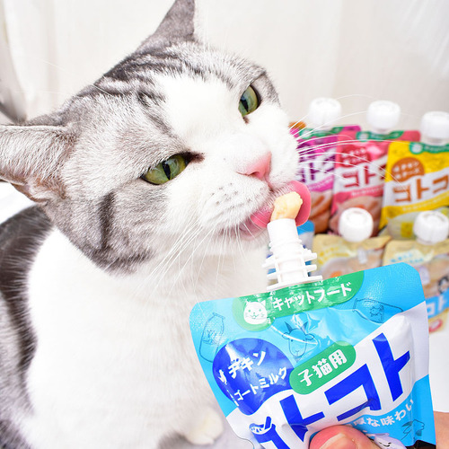 Japanese Hell's Kitchen Gulu Sauce Cat Snacks Cat Wet Food Pack Kitten Pet Chicken Goat Milk Slurp Sauce Cat Food