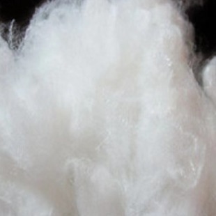 �����ߏ����w�S ����������w�Sʯīϩ�����w�S