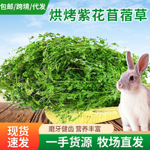 �ϻ���ޣ�ݸɲ� ������؈��ޣ�� ���ݺ��m�i����Z�ݴ��~��ޣ��