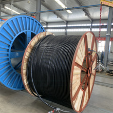 ͟ouϩ^䓎ȼzb~о|  WDZB-YJY23-0.6/1KV