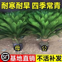 �F������С������辰�K�F�_����ĸһ���T�ڿ͏d�҃ȾGֲ���Bֲ��