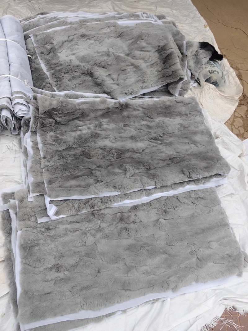 微信图片_20250319100413