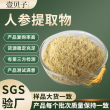 量大价优人参提取物SC工厂现货原料人参皂甙料散装批发人参皂苷