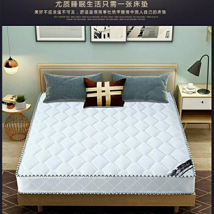 席梦思床垫软硬两用20厚1.8米1.5家用双人经济型椰棕弹簧床垫|undefined