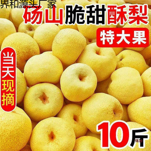 ����F؛�Xɽ���殔�����rˮ����Ƥ����ؕ���������l���]