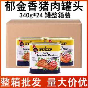 ������TULIP�i���������^340g*24�����䵤���M��������������l