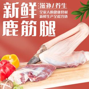 ����꡿���l����÷��¹��Ƥ�����¹�� ¹���� ¹�� һ�����l