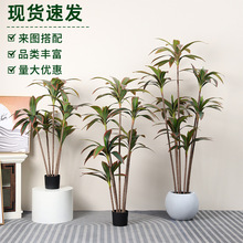 ����tɫ����ľ�����F�Gֲ�٘��쾰�Ҿӿ͏d�̈���䁾Ƶ��b[��