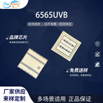 粉紫工厂直销6565UVB LED发光二极管