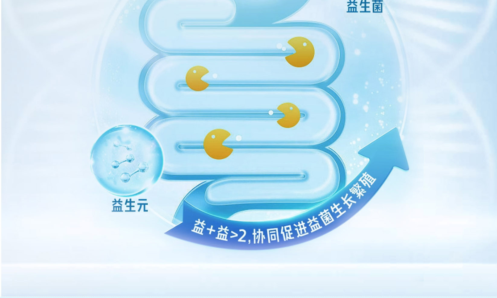 Probiotic Freeze-Dried Powder 30 Billion CFU Live Cultures Digestive Support Sachets 20g 10 Pack quality and texture