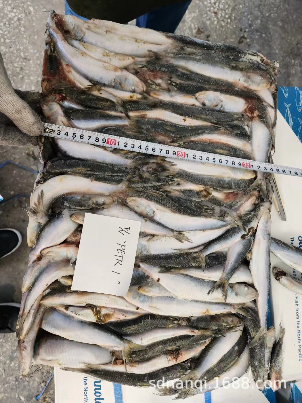 山东南启水产贸易有限公司 微信图片_20230102154115.jpg