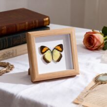 ������˱��b쮋���x�ȷ۵��[����ľ������|�ۼo��С������