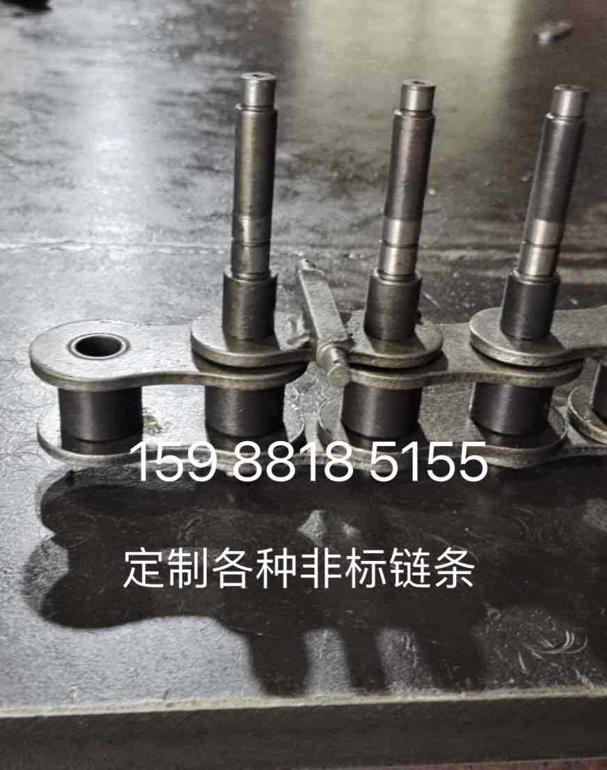 20A地轨链条喷漆线链条喷油线链条喷涂自动线链条加长销链条24A