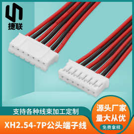 定制XH2.54-7P公头端子线荧光灯连接线 1007-24AWG红黑电子排线