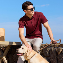 ����t�����b�·��Ļ������´̽��߶˹�������polo��ӡlogo����