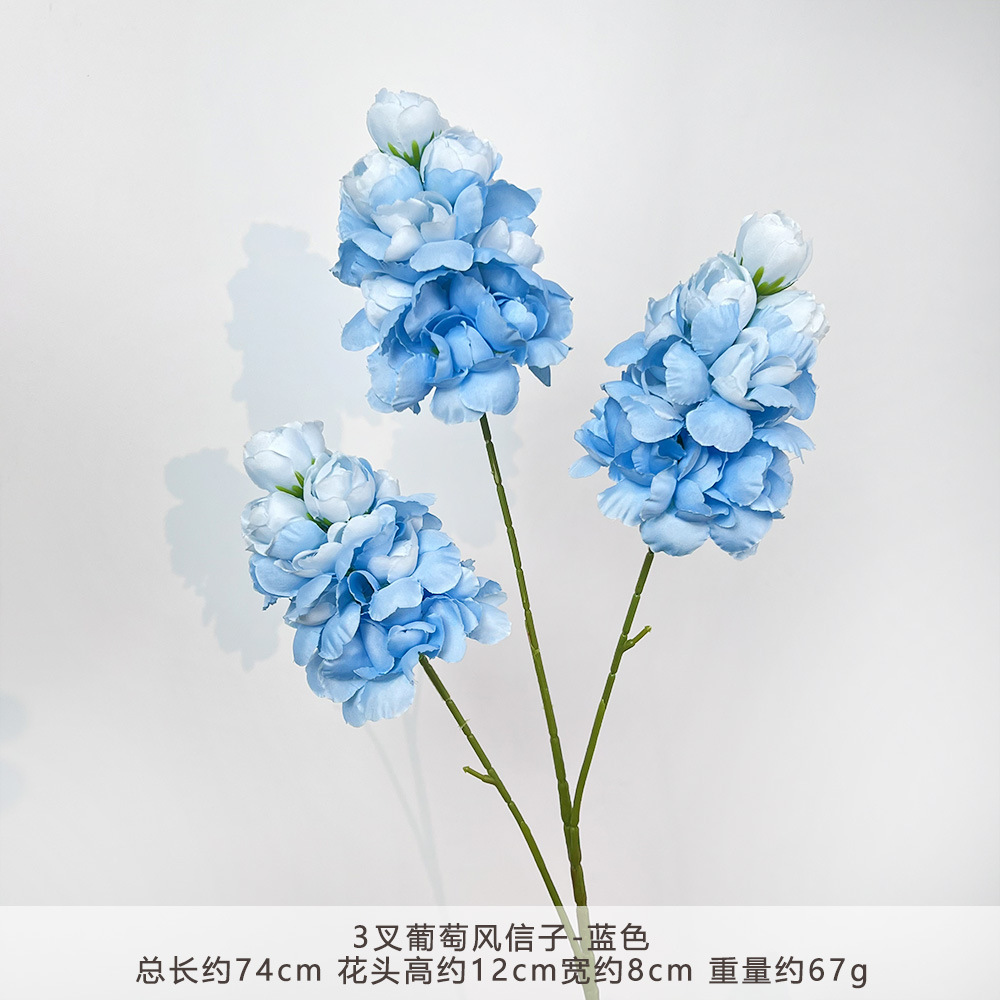 CC-3叉葡萄风信子-蓝色