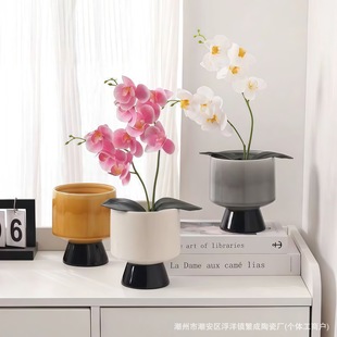 �����Ժ����m�����մ��p�ݱ��W���_�������[���{��麾Gֲ