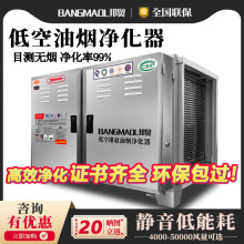 商用油烟净化器不锈钢低空排放设备饭店餐饮无烟排放去味包过环保