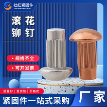 ���ƝL���T� �F؛���l���~�����T� �X�L�������T�