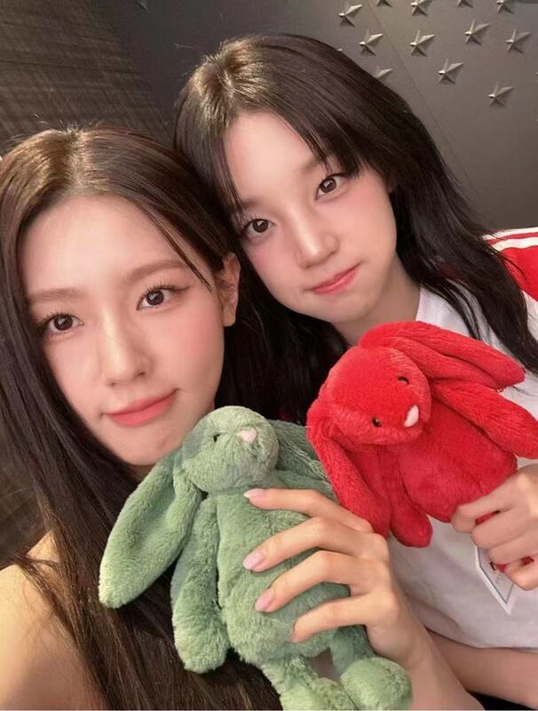 48h--JCのぬいぐるみ、人形、ギフト、母親と赤ちゃんの人形、かわいいバッグペンダントの大きなコレクション|undefined