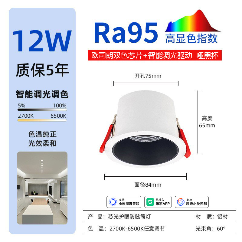 12w matte black connected⼊⽶Home app