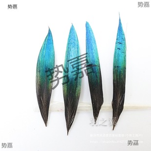 ��ȸë�c���c����ë�ϝ{��ȸ�������PƬDIY�ֹ��Ʒ�b��������