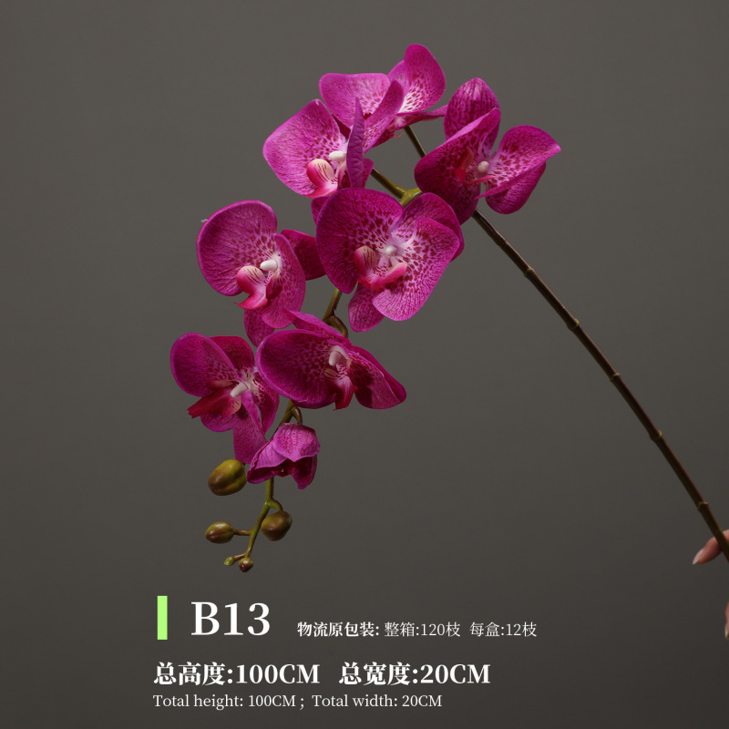 造花感触保湿胡蝶蘭感触大きな蘭の写真撮影の装飾品家の装飾造花卸売|undefined