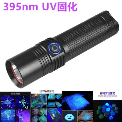 395nm High Power Violet Flashlight Scorpion Lamp UV Curing Lamp LED UV Light Ink Shadowless Glue Curing (UV fənərlər)