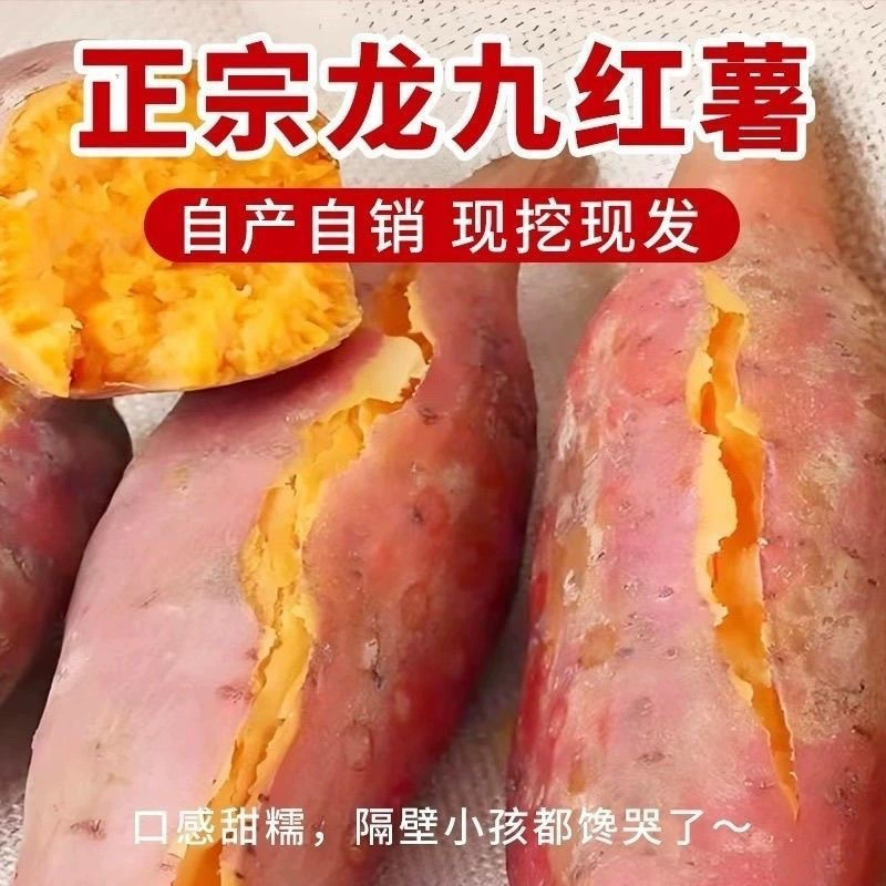 Аутентичный медовый сладкий картофель Longjiu sandy red heart, только что вырытый желтый сладкий картофель, свежий сладкий картофель с сахарным сердцем, каштановый сладкий картофель, оптовая продажа