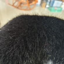 �F؛��ɫ�ߵ�ë���q�Lë�q���b����Ь�϶�ë�q����Ů�b���·���ë