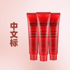 オーストラリア天然保湿補水パパイヤクリーム25gリップクリーム