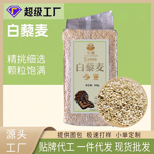 ��޼�������l��հ��b500������s�Z1��ּZ�F؛���l�N�ƴ���OEM