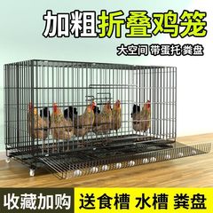 鸡笼子家用室外大号自动清粪养鸡笼鸭笼子室内小鸡