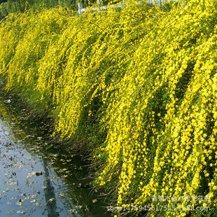 �r��ֱ�N  ӭ����   ���NҎ��  �G������   �ɻ��ʸ�  �r�񃞻�