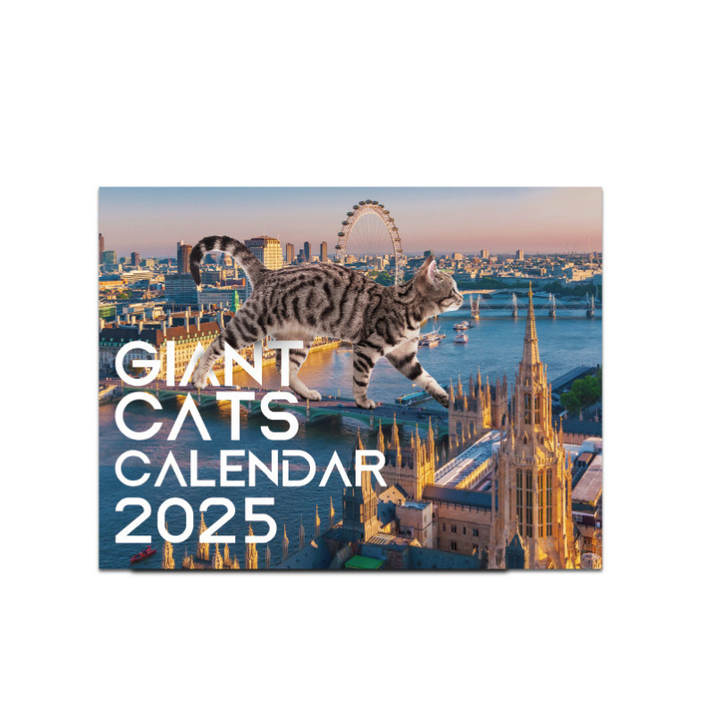 빌딩 고양이 달력