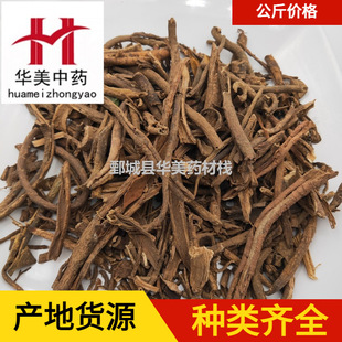 �����Ƥ1000�� �A����ș ��ș�����l�F؛���� �����Ƥ ��؛