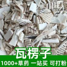 ������1kgʳƷ���в�șԭ���Ͽɴ��Ark Shell�����������߉���