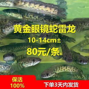 �S�����R�������M���д����^�p�~�Ꭷ�~�Ԛ��~��ˮ���Ӳ��������l