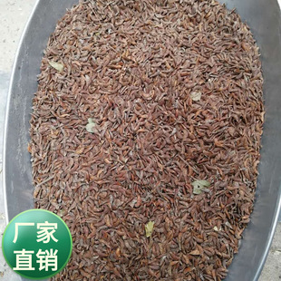 ���뻱�N���޴̻���G��бɽ߅�¸��ٹ�·�o�¹���ֲ���s��ľ����