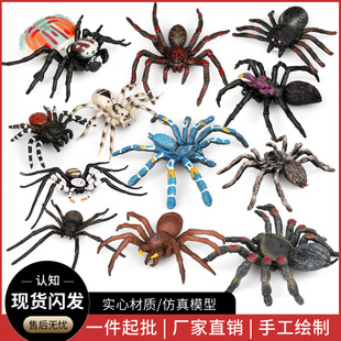 �������x���_֩�����벻�B��ڹыD���֩�냺ͯ�C�����