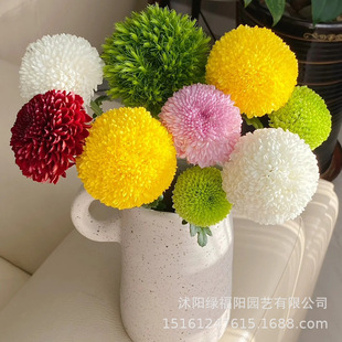 ��ɫƹ�Ҿ��������ξջ��玧���҃����ļ��_���̨ͥԺ�r���Gֲ��