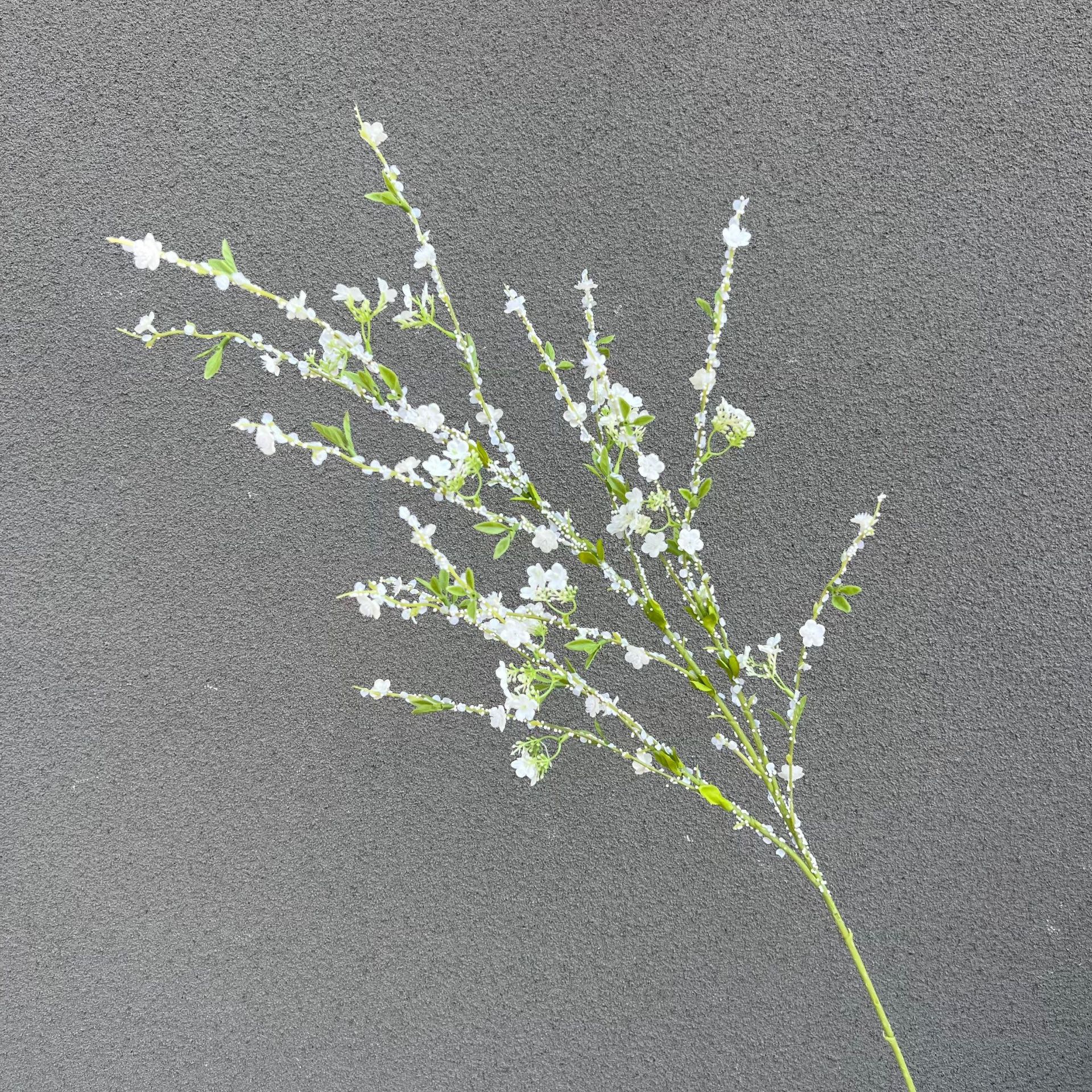 단일 수출 판 스노우 윌로우